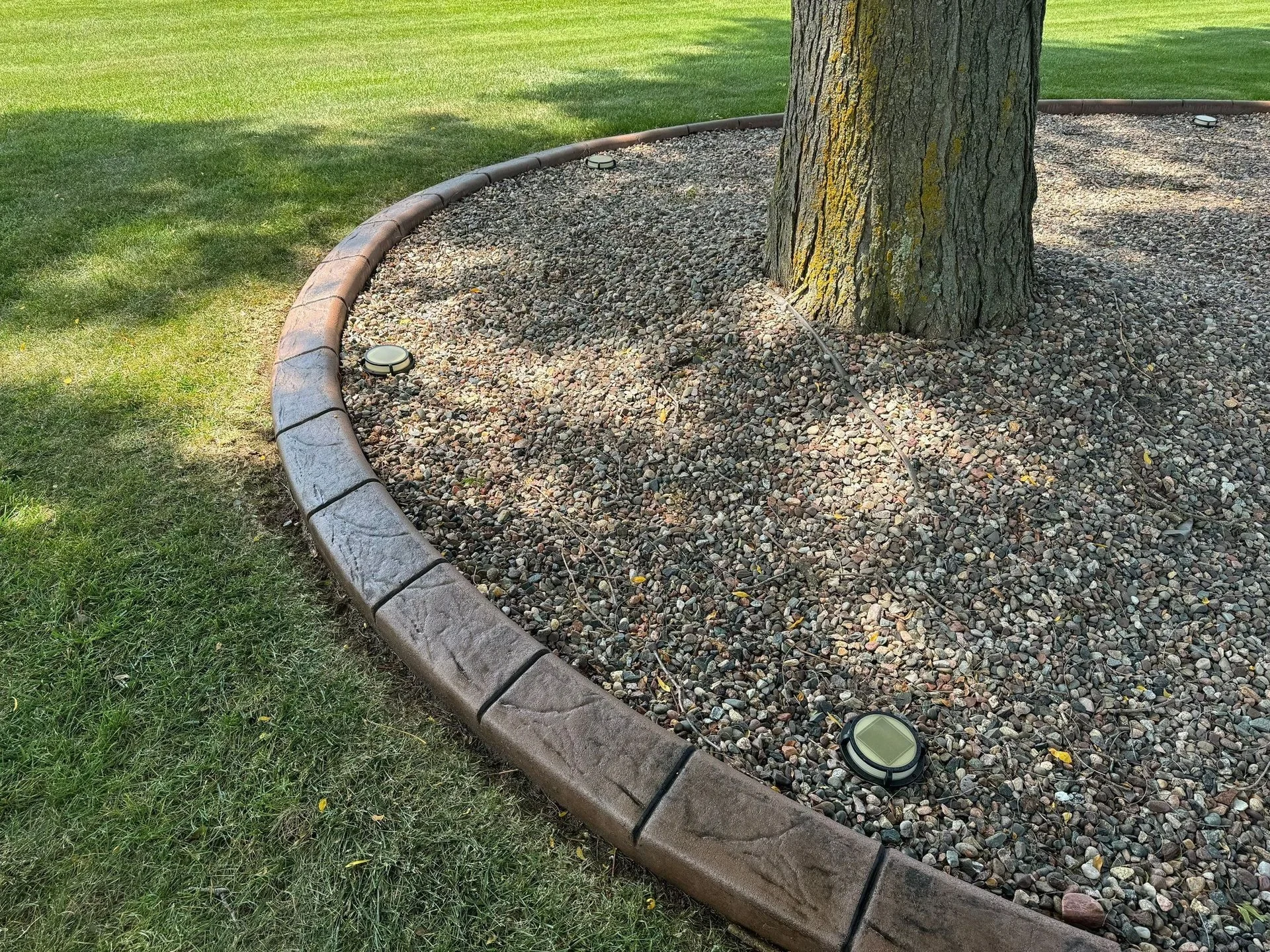 Concrete tree ring curbing around mature tree